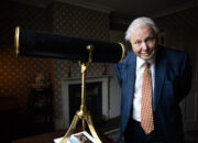 The best Sir David Attenborough documentaries and where to watch them